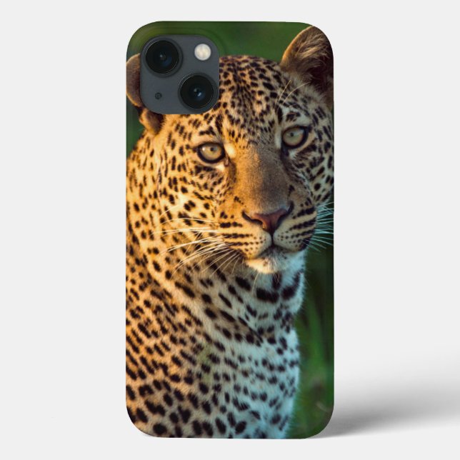 Funda De Case-Mate Para iPhone Leopardo Masculino (Panthera Pardus) Cubo de creci (Reverso)