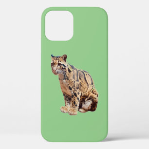 Funda Para iPhone 12 leopardo nublado fotografía selva gran gato animal