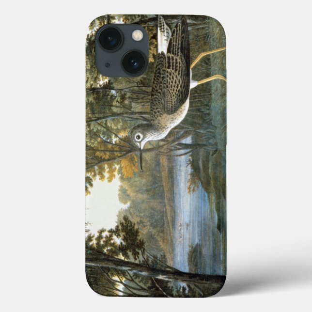 Funda De Case-Mate Para iPhone Lesser Yellowleg (Reverso)