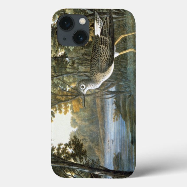 Funda De Case-Mate Para iPhone Lesser Yellowleg (Reverso)