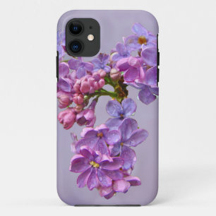 title_seo2 Lilas en primavera