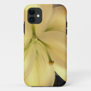 title_seo2 Lillum blanco iPhone SE + iPhone 5/5S, apenas ahí