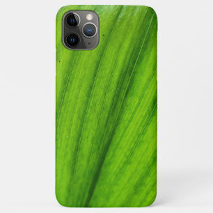 Funda Para iPhone 11 Pro Max Lily del Valle