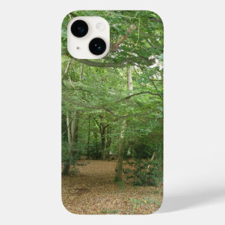 title_seo2 Limpieza de bosques