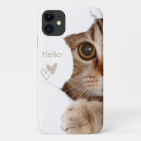 lindo gatito, hola corazón blanco
