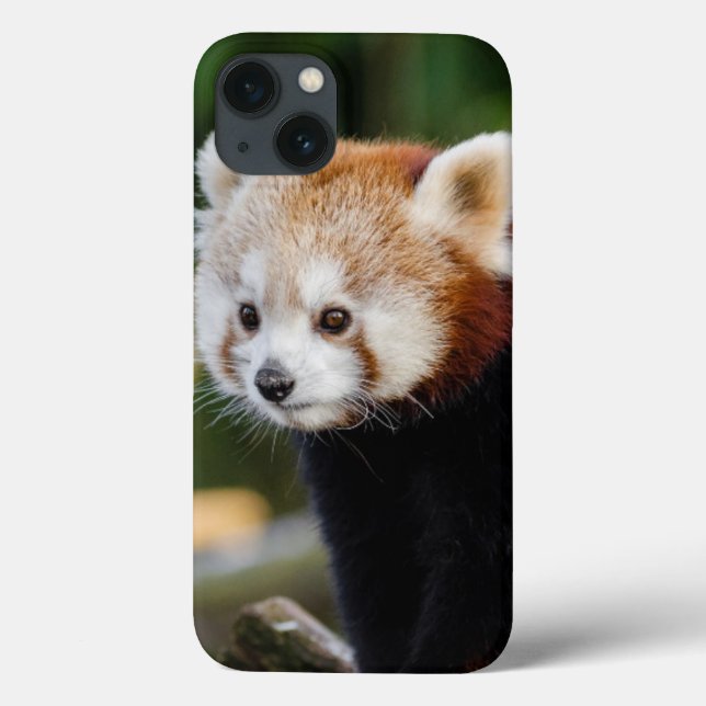 Funda De Case-Mate Para iPhone Lindo Joven Panda Rojo (Reverso)