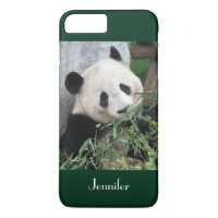 Lindo Panda Gigante, Borde Verde Oscuro, Nombre Pe