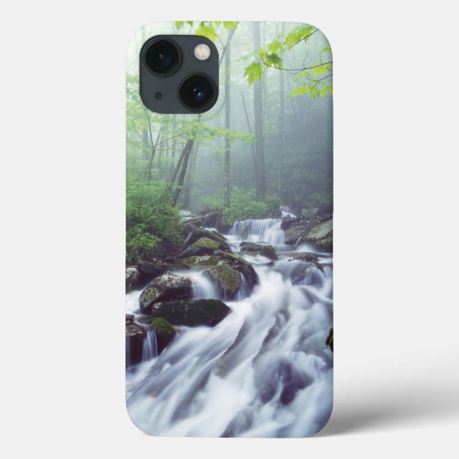 Funda De Case-Mate Para iPhone Linn Cove Creek en cascada por niebla (Reverso)