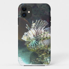 title_seo2 Lion Fish