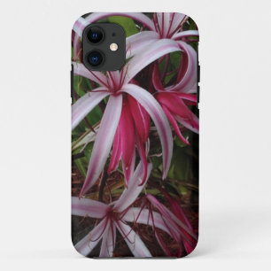 Funda Para iPhone 11 Lirio Crinum Púrpura de la Reina Emma