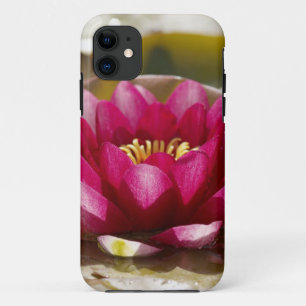Funda Para iPhone 11 Lirio de agua