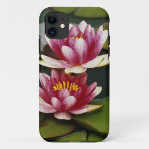 Funda Para iPhone 11 Lirios de agua híbridos