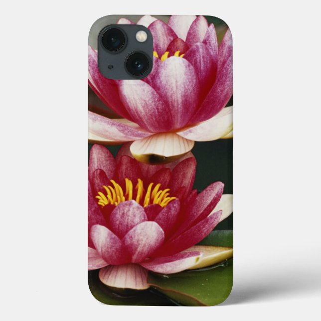 Funda De Case-Mate Para iPhone Lirios de agua híbridos (Reverso)