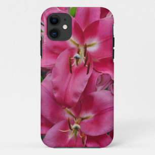 title_seo2 Lirios de estrellas de color rosa