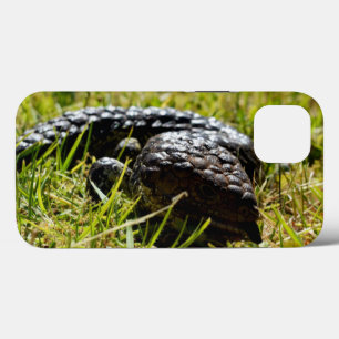 Funda Para iPhone 13 Lizard Australiano Con Tonga Azul Estúpida,