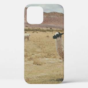 FUNDA PARA iPhone 12 LLAMA BLANCA EN GRASA MARRONA