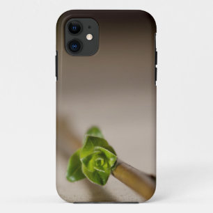 Funda Para iPhone 11 Llamo por teléfono a una caja de flores frescas
