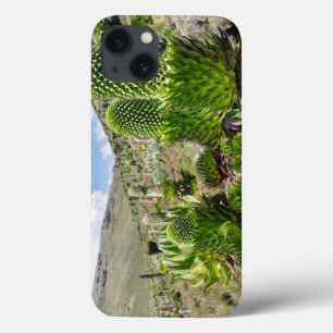 Funda Para iPhone 13 Lobelia Gigante (Lobelia Deckenii) En El Monte Ken