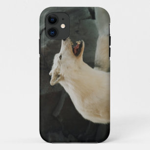 Funda Para iPhone 11 Lobo blanco