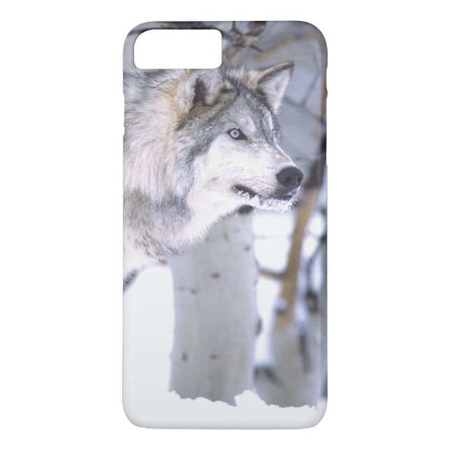 Funda De Case-Mate Para iPhone Lobo Gris, Canis lupus, Animal de Película (Utah) (Reverso)