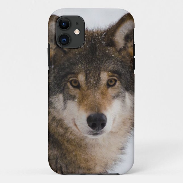 Funda De Case-Mate Para iPhone Lobo gris europeo (Reverso)