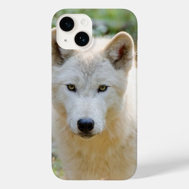 Funda De Case-Mate Para iPhone Lobo gris, fotografía de vida silvestre canadiense (Reverso )