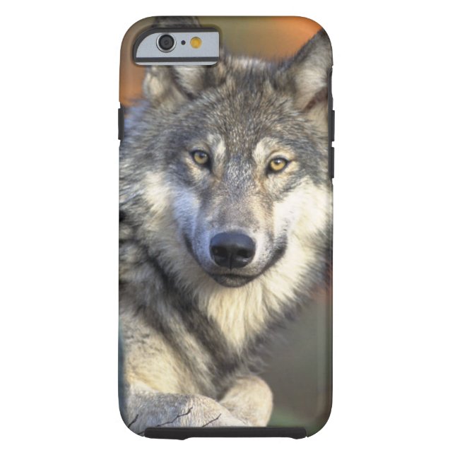 Funda De Case-Mate Para iPhone Lobos (Reverso)