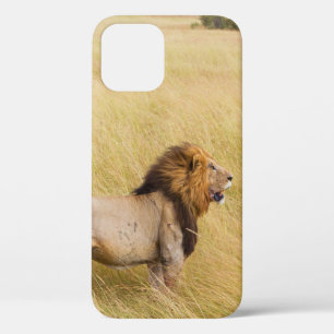 FUNDA PARA iPhone 12 LONES MARRONES SOBRE EL CAMPO DE GRASA DURANTE EL 