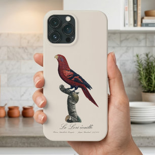 Funda Para iPhone 13 Pro Max Lori de rabadilla azul, Trichoglossus reticulatus