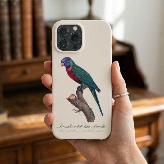 Funda De Case-Mate Para iPhone Loricito arcoíris hembra, Trichoglossus moluccanus (Perruche a tete bleue, femelle / Rainbow lorikeet, female. iPhone Case)