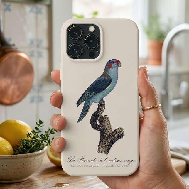 Funda De Case-Mate Para iPhone Loríquet de Musk, Trichoglossus concinnus (Musk Lorikeet, Trichoglossus Concinnus. iPhone Case)