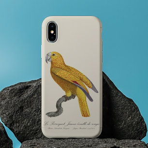 Funda Para iPhone 13 Pro Max Loro del Paraíso de Cuba, Psittacus Paradisi