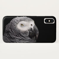 Loro gris africano