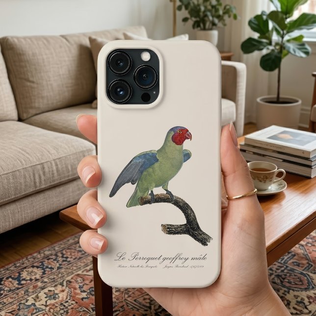 Funda De Case-Mate Para iPhone Loro mejirrojo macho, Geoffroyus geoffroyi (Male Red-Cheeked Parrot, Geoffroyus geoffroyi. iPhone Case)