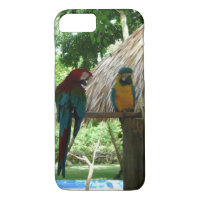 loro tropical
