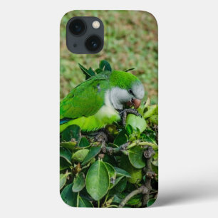 Funda Para iPhone 13 Loro verde