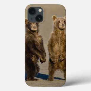 Funda Para iPhone 13 LOS E.E.U.U. Alaska. Los cachorros de oso costeros