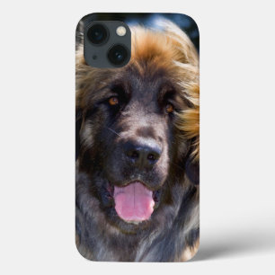 Funda Para iPhone 13 Los E.E.U.U., California. Retrato de la sentada de