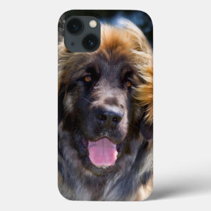 Funda Para iPhone 13 Los E.E.U.U., California. Retrato de la sentada de