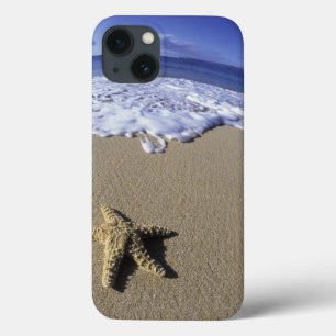 title_seo2 Los E.E.U.U., Hawaii, Maui, playa de Makena,