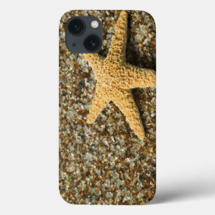 title_seo2 Los E.E.U.U., HI, Kauai, playa de cristal con los