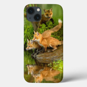 Funda Para iPhone 13 Los E.E.U.U., Minnesota, piedra arenisca, fauna 7