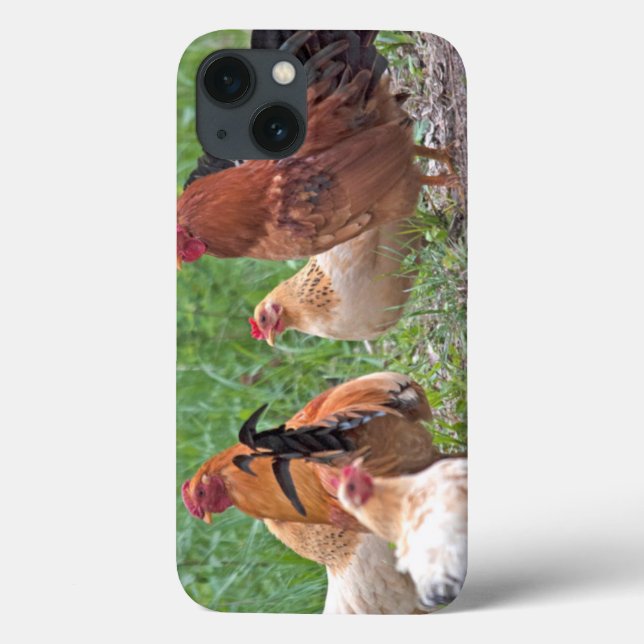 Funda De Case-Mate Para iPhone Los E.E.U.U., Nebraska. Pollos (Reverso)