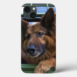 title_seo2 Los E.E.U.U., Oregon, Portland. Griff el de pelo