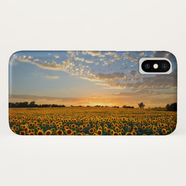 Funda De Case-Mate Para iPhone Los girasoles al atardecer (Reverso (horizontal))