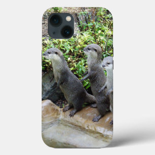Funda Para iPhone 13 **"Los tres mosqueteros: Trío de pequeñas nutrias 
