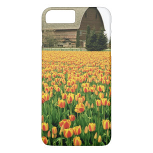 Funda Para iPhone 8 Plus/7 Plus Los tulipanes de primavera florecen frente al viej