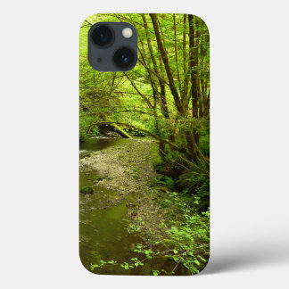 Funda Para iPhone 13 Lost Man Creek I en el Parque Nacional Redwood