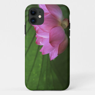 Funda Para iPhone 11 Loto Ohga, Jardín Sankei-en, Yokohama, Japón