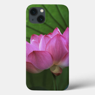 Funda Para iPhone 13 Loto Ohga, Jardín Sankei-en, Yokohama, Japón